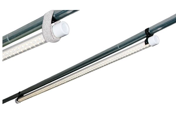 Belysningsskinne til ophæng i teltstang 12v,150led 550 lumen